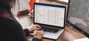 extensive-dsp-and-audio-product-expertise